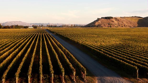 Craggy Range Image 1